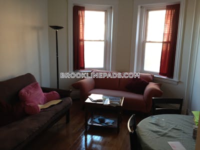 Brookline Apartment for rent 1 Bedroom 1 Bath  Washington Square - $2,600 No Fee
