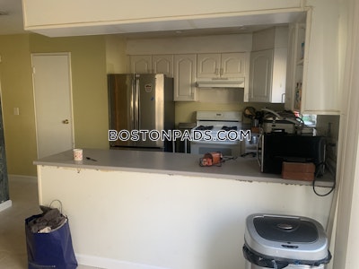 Brookline Best deal in town! Spacious 5 bed 3 bath apartment in Thorndike St  Boston University - $6,900