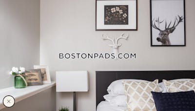 Cambridge Absolutely stunning 5 Beds 2.5 Baths   Harvard Square - $8,200