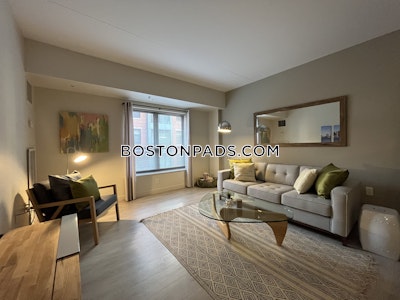 South End Luxury 1 Bed 1 Bath on Harrison Ave. in South End  Boston - $3,360