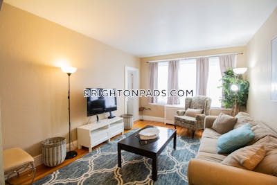 Brighton Apartment for rent 1 Bedroom 1 Bath Boston - $4,000