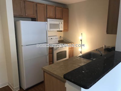 Dorchester Apartment for rent 2 Bedrooms 2 Baths Boston - $3,683 No Fee