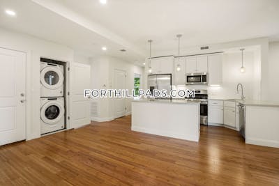 Fort Hill Apartment for rent 4 Bedrooms 2 Baths Boston - $5,600