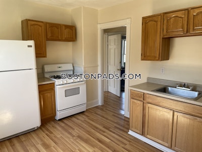 Hyde Park Spacious and Homey 1 bed 1 bed in Hyde Park Boston - $1,900