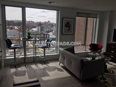 Lower Allston Apartment for rent 2 Bedrooms 2 Baths Boston - $5,870 No Fee