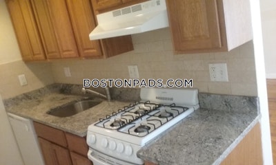 Allston/brighton Border 1 Bed 1 Bath Boston Boston - $2,150 No Fee