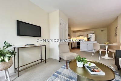 Cambridge Apartment for rent 1 Bedroom 1 Bath  Harvard Square - $2,800