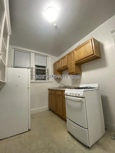 Allston/brighton Border Apartment for rent 1 Bedroom 1 Bath Boston - $2,295 50% Fee