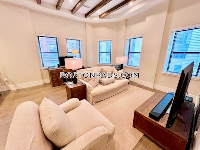 Downtown Apartment for rent 1 Bedroom 1 Bath Boston - $4,500