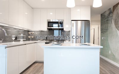 West End Apartment for rent 2 Bedrooms 2 Baths Boston - $12,549