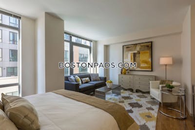 West End 2 bedroom  baths Luxury in BOSTON Boston - $6,035