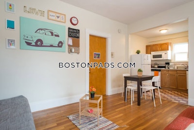 Allston/brighton Border Apartment for rent Studio 1 Bath Boston - $2,350