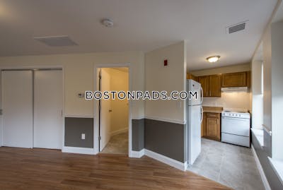 Back Bay Apartment for rent 2 Bedrooms 2 Baths Boston - $4,200