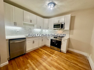Roxbury Apartment for rent 3 Bedrooms 1 Bath Boston - $3,400