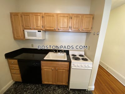 Fenway/kenmore 1 Bed 1 Bath Boston - $2,650