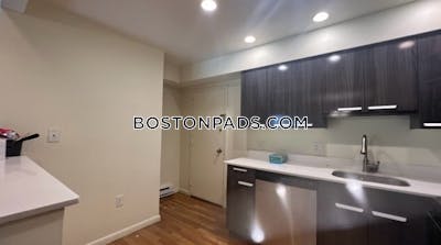 Newton Apartment for rent Studio 1 Bath  Chestnut Hill - $2,500