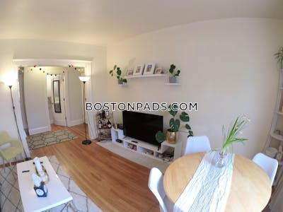Brookline Apartment for rent 3 Bedrooms 1.5 Baths  Boston University - $4,800