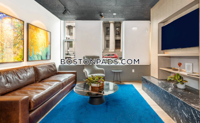 Downtown 1 bedroom 1 baths Luxury in BOSTON Boston - $3,265