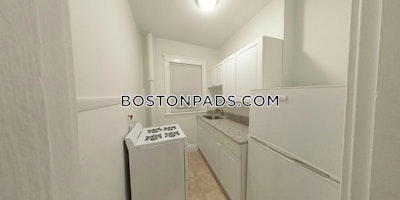 Allston/brighton Border Apartment for rent 1 Bedroom 1 Bath Boston - $2,300