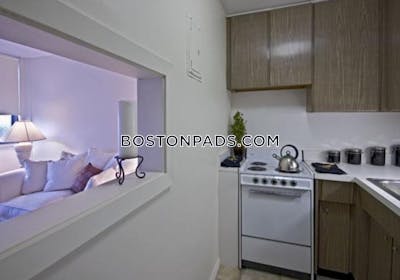 Allston/brighton Border Apartment for rent Studio 1 Bath Boston - $2,100